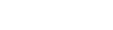 The Passport Investor  logo